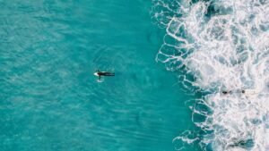 blue, beach, surf, travel, surfer, drone, view, ocean, aerial, summer, wave, surfing, fun, sea, water, nature, top, turquoise, paddle, beautiful, pattern, surfboard, aerial photography